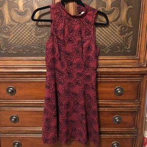 Lauren Conrad Maroon Dress